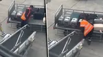 Imagini cu un angajat al Aeroportului din Atena care îngrijea cu blândețe animale salvate au făcut înconjurul planetei. Ce comentarii au stârnit