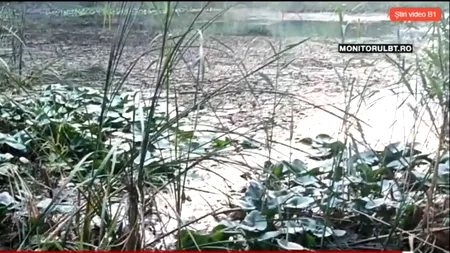 Lacul lui Mihai Eminescu, de la Ipotești, transformat într-o priveliște DEZOLANTA, din cauza nepăsării autorităților