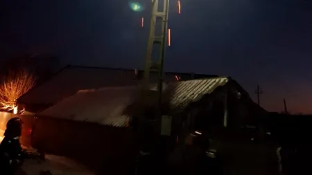 Un cuib de berze a luat foc în Tulcea - FOTO