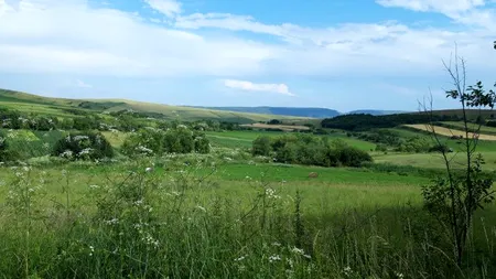 Schimbările climatice, conservarea trecutului și conservarea naturii în România