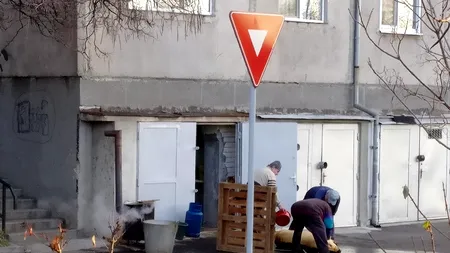 Bărbat amendat după ce a tăiat porcul în spatele blocului. Vecinii orădeanului au alertat poliția locală