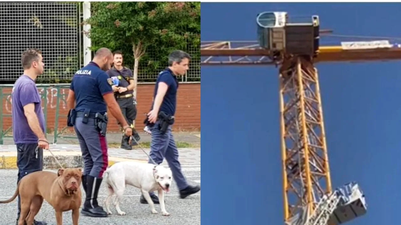 Un român a amenințat că se aruncă de pe o MACARA, în Italia. „Îmi vreau casa înapoi!”