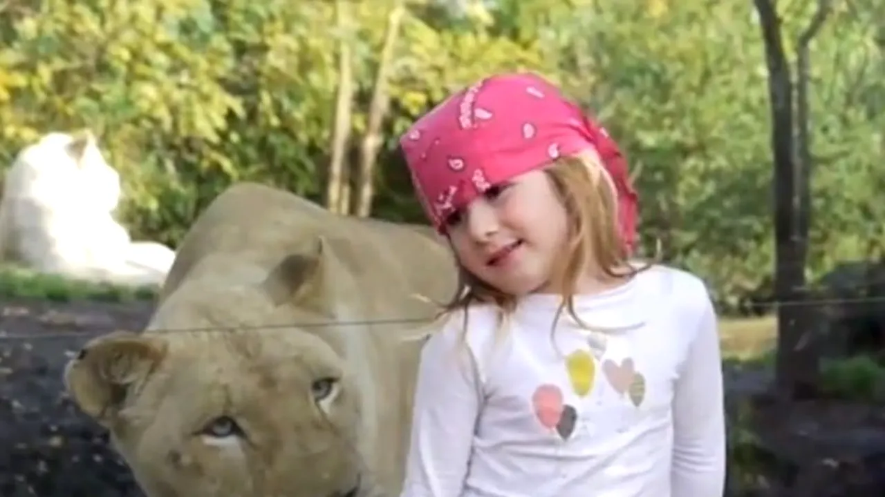 VIDEO. Moment amuzant la ZOO. Cum a reacționat o fetiță când s-a trezit în spate cu o leoaică