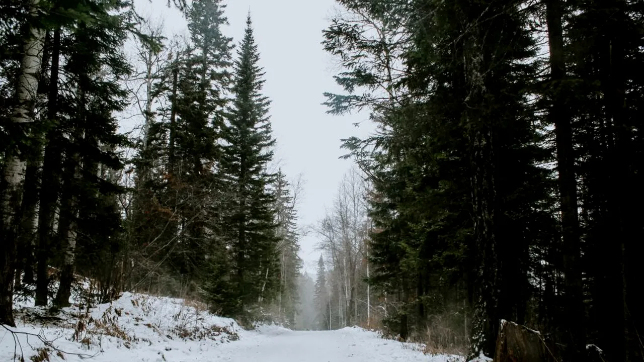 Studiile de specialitate au descoperit o „comoară” în această localitate din România. Primarul caută 3 milioane de euro ca să o scoată la suprafață