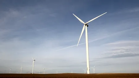 CEZ a primit cereri de racordare la rețea a 1.000 de MW instalați în centrale fotovoltaice