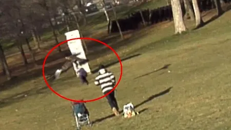 VIDEO. Un vultur a încercat să fure un copil