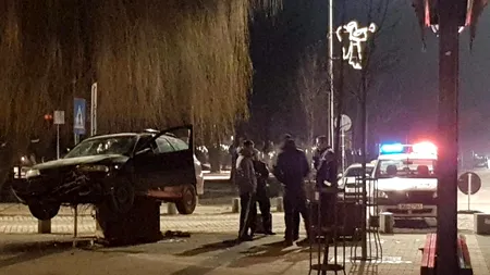 Parcare inedită făcută de un șofer beat. Bărbatul a ajuns cu mașina într-un ghiveci de copac - VIDEO / FOTO