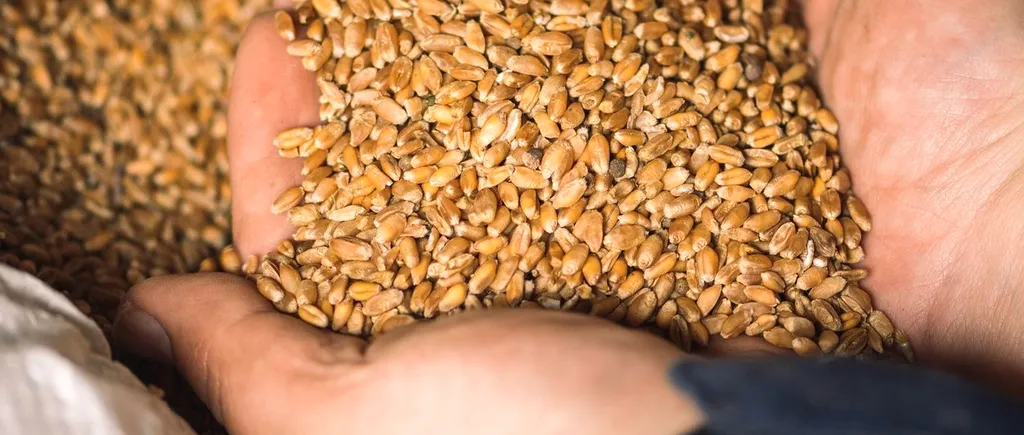 Polonia anunță că va compensa agricultorii şi va impune un preţ minim pentru cereale