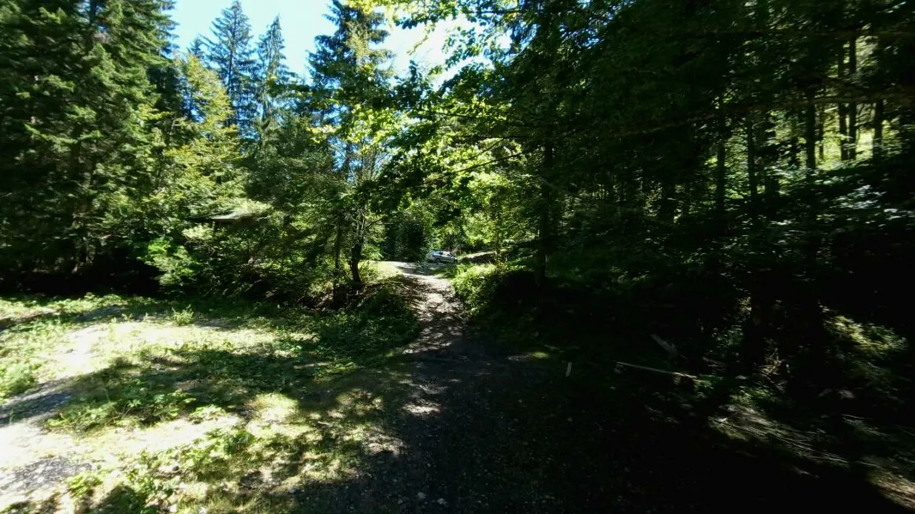 Locul din Bucovina înțesat de turiști pe timp de vară. Oaza de răcoare preferată și de străini