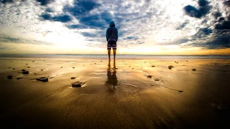 COVID-19. California închide terasele, barurile și restaurantele, din cauza pandemiei de coronavirus