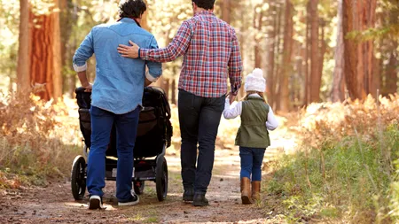 Hotărâre istorică a CEDO: Statele din Consiliul Europei, inclusiv România, sunt obligate să recunoască și protejeze familiile formate din persoane de același sex