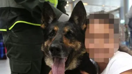 Copilul DISPĂRUT din Dolj A SUPRAVIEȚUIT datorită CÂINELUI familiei: L-a ÎNCĂLZIT toată noaptea