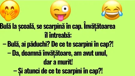 BANC | Bulă și păduchii