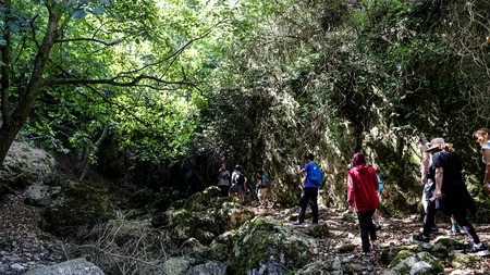 CAPCANE din cuie, descoperite într-o pădure frecventată de turiști, în Gorj