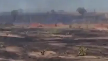 Pădurea Amazoniană în flăcări: Președintele Braziliei a mobilizat armata pentru stingerea incendiilor devastatoare