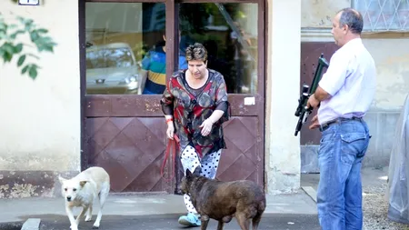 Bucureștenii din sectorul 4 vor putea avea câte un câine 