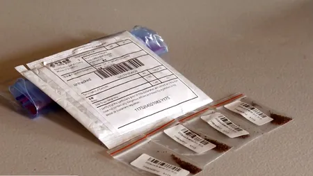 Semințe misterioase, trimise ilegal din China în mii de cutii poștale