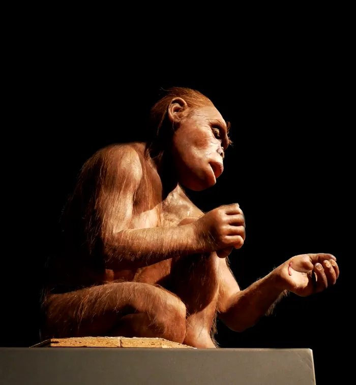 Homo habilis - O femelă se taie accidental cu o unealtă din piatră ascuțită - reconstituire. Sursa Foto: Profimedia 