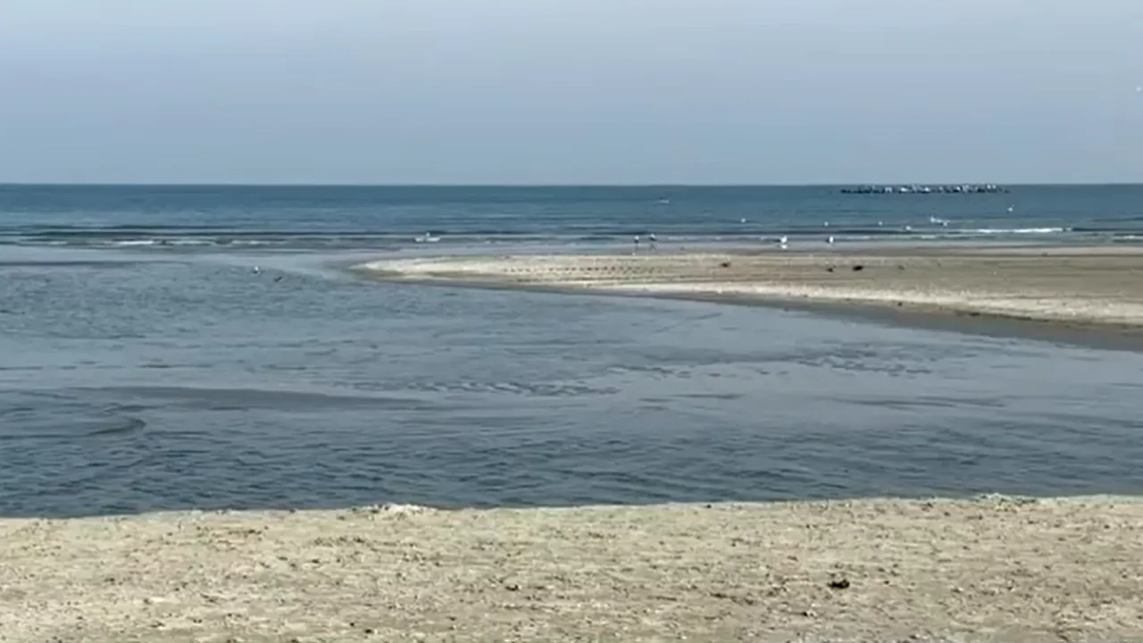 Plaje noi pe Litoral. Administratorii și întreprinzătorii promit prețuri normale