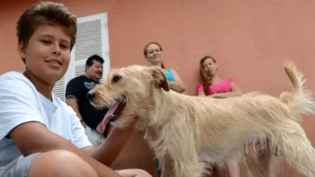 Un copil de 11 ani a oprit traficul pentru a salva un câine. FOTO