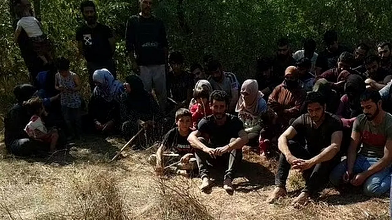 Maria, o fetiță de cinci ani, a fost înțepată de un scorpion și a murit pe o insulă, ignorată de autorități, în Grecia