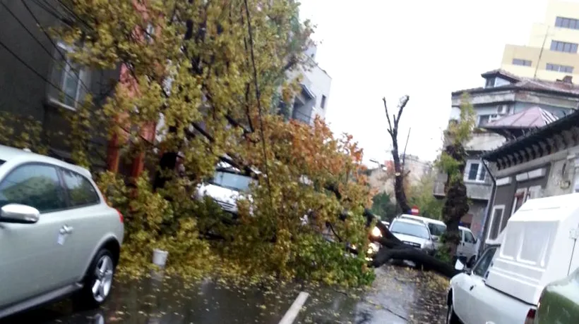 Haos în Capitală din cauza ploii: tramvaie și troleibuzele blocate, copaci căzuți peste mașini, trafic rutier îngreunat