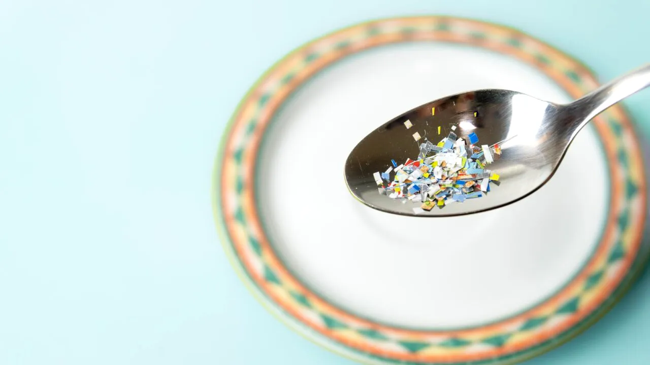 Microplasticele din organism, un pericol tot mai mare. Cât plastic ajunge în corpul uman și unde se acumulează