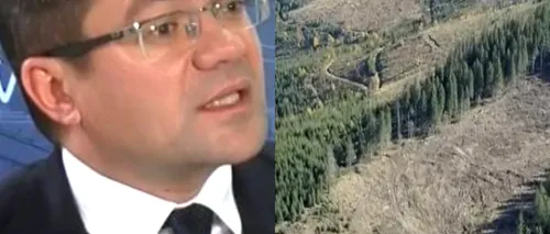 ROMÂNIA VERDE | Ministrul Mediului anunță o campanie amplă de împădurire, începând din primăvară, finanțată de la bugetul de stat