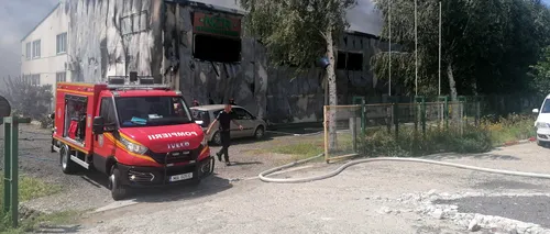 Incendiu devastator la o fabrică de prelucrare a furnirului din Brăila: Un om a murit CARBONIZAT