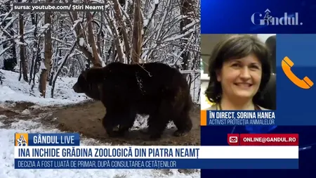 GÂNDUL LIVE. Cazul tragic al ursoaicei Ina / Sorina Hanea, activist pentru Protecția Animalelor: „E foarte simplu să dai un răspuns afirmativ cu un singur clic și apoi să nu se întâmple nimic...”