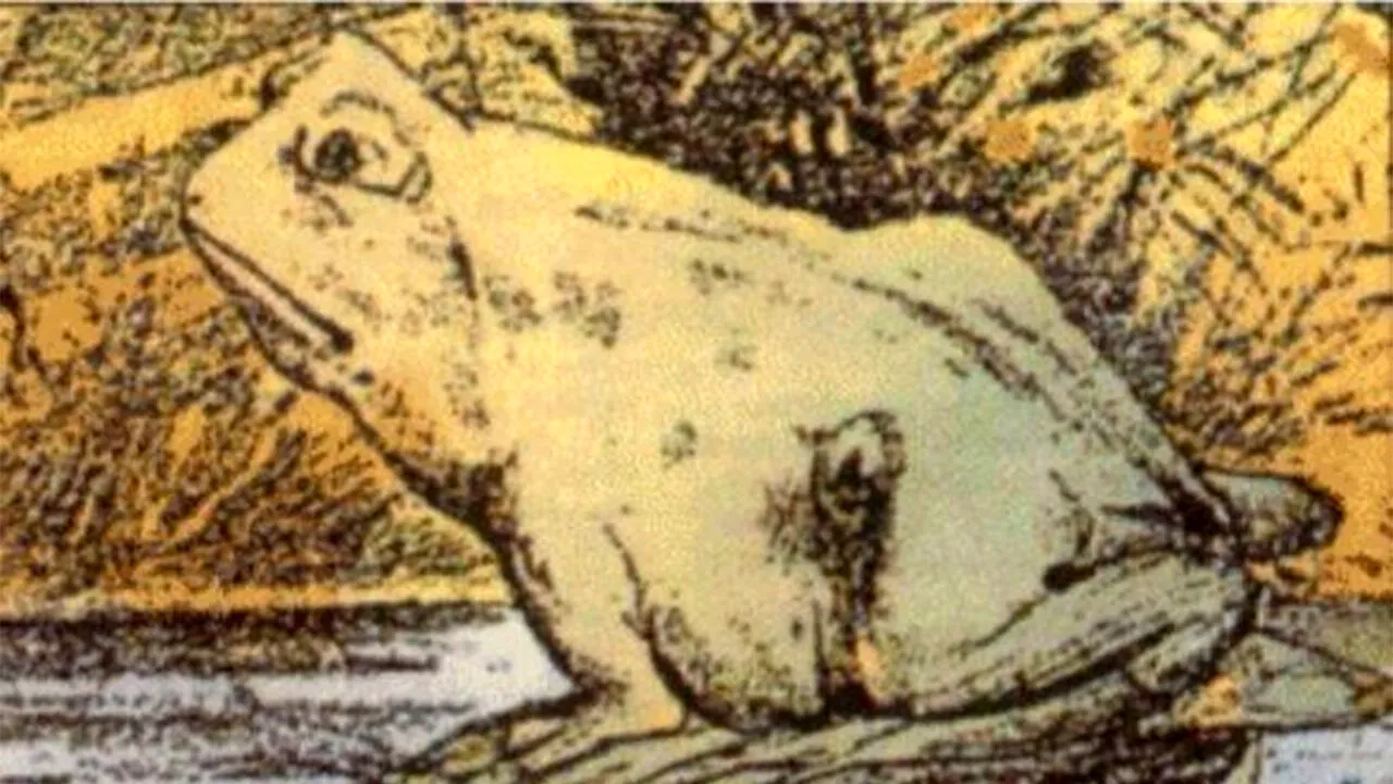 Iluzie optică virală | Ești un geniu dacă răspunzi corect: Ce este al doilea animal din această imagine?