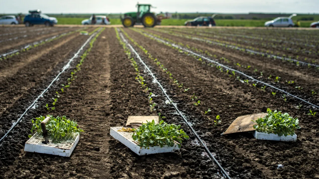 Ce salarii câştigă românii din Diaspora. Leafa poate ajunge şi la câteva mii bune de euro pentru lucrătorii din aceste domenii