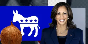 <span style='background-color: #00036d; color: #fff; ' class='highlight text-uppercase'>EXTERNE</span> Kamala Harris, mai onestă decât Trump – sondaj