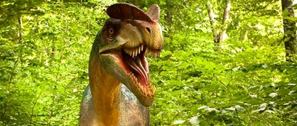 Dino Parc Râșnov, unul dintre cele mai mari parcuri cu dinozauri din Europa, se deschide vineri