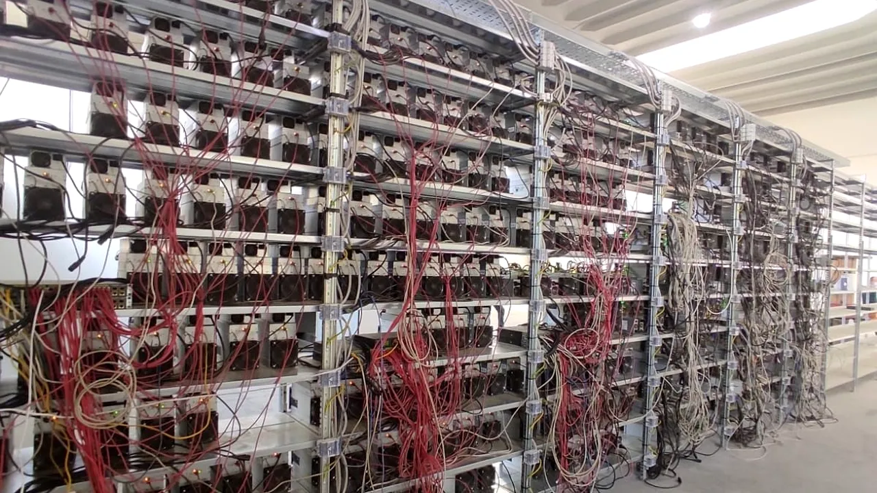 Minarea de criptomonede, un business păgubos pentru două firme. Patronii au dat toată afacerea pe mâna unui danez, care le-a furat toată aparatura și s-a asigurat că nu plătește nici curent