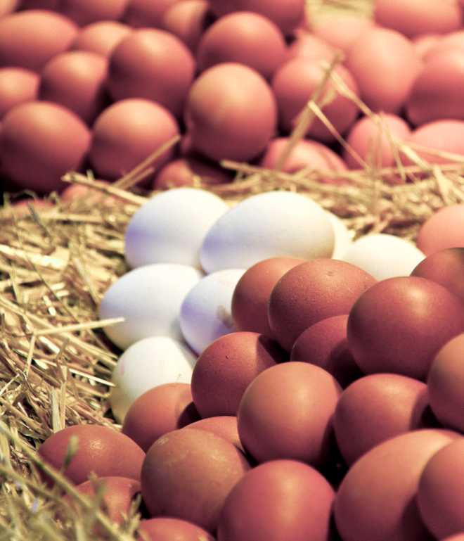 ANSVSA recunoaște că peste 100.000 de ouă contaminate cu INSECTICID au ajuns în CONSUM