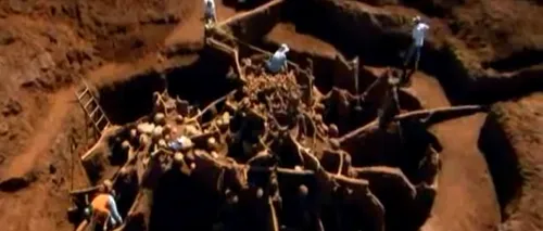 VIDEO: Ce se află în interiorul unui imens mușuroi de furnici. E ca și când ar fi construit Marele Zid Chinezesc