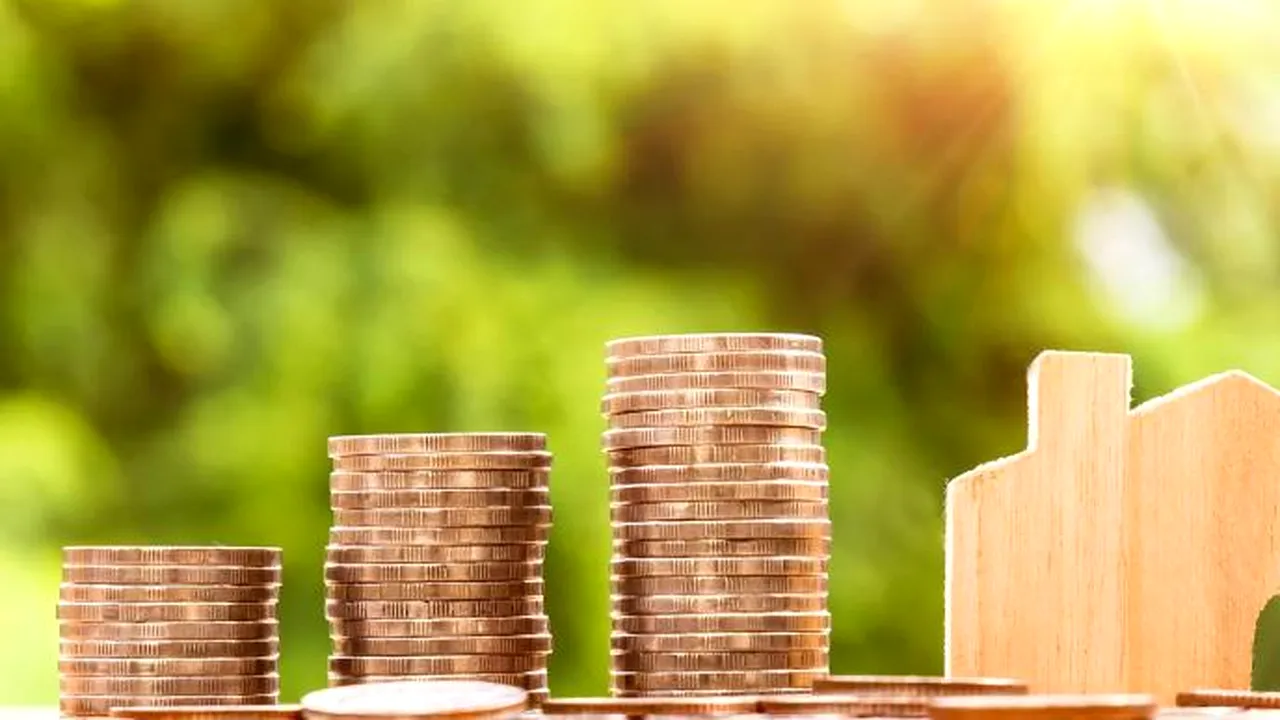 Record în ștergerea datoriilor la bănci! CSALB, salvatorul debitorilor români. Sute de mii de lei și zeci de mii de euro, radiate din contul a doi împrumutați