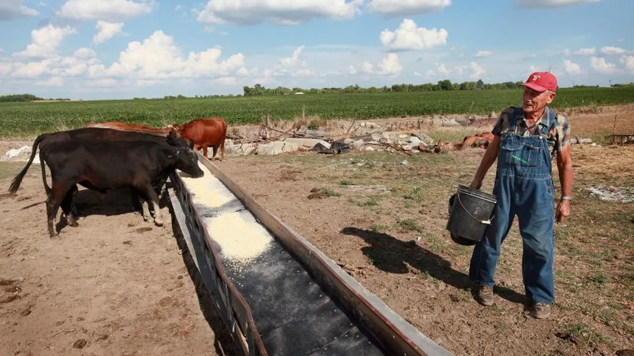 Statele Unite se confruntă cu cea mai gravă secetă din ultimii 56 de ani