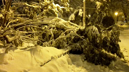 VREMEA ANM. Ger năprasnic, urmat de ninsori în următoarele două săptămâni