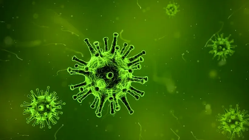 OMS avertizează că boala provocată de COVID nu poate fi tratată precum gripa