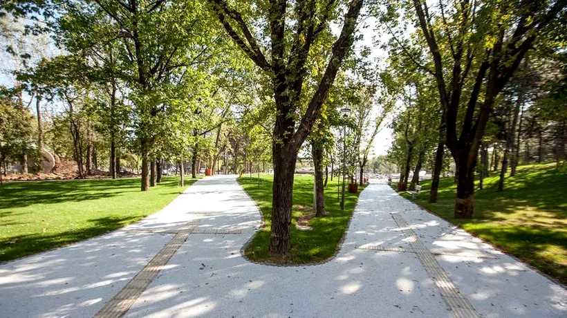 Fițuici cu Iohannis care anunță redeschiderea Parcului Moghioroș, distribuite în Sectorul 6. Reacția ACL