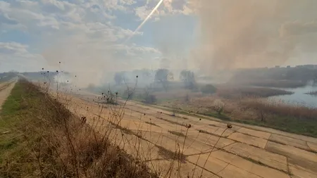 Incendiu puternic în Delta Văcărești. Pompierii s-au luptat cu flăcările pe o suprafață de 10.000 de metri pătrați