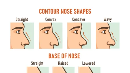 Test de personalitate | Ce spune forma nasului despre tine, de fapt