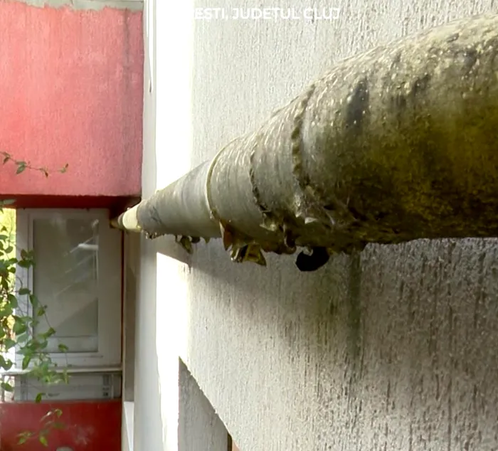 sursa foto: Observatornews.ro