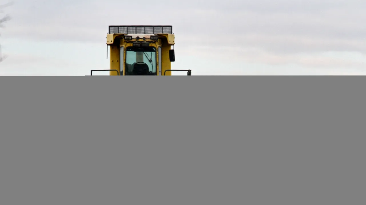 Eurostat: Românii reciclează puțin și preferă gropile de gunoi pentru depozitarea deșeurilor