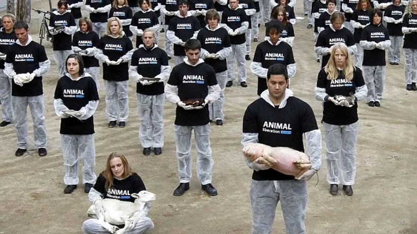 Protestul macabru al unei asociații pentru protecția animalelor