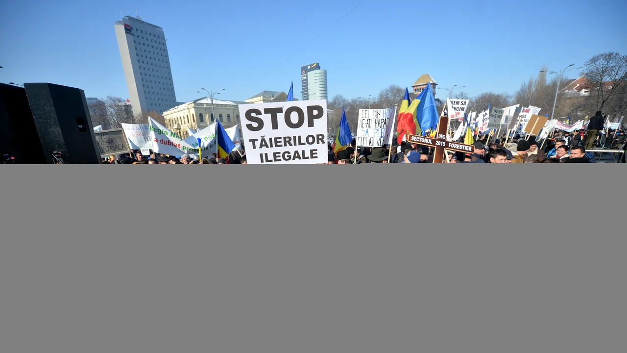 Peste 3.500 de reprezentanți ai industriei lemnului pichetează sediul Guvernului