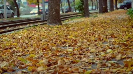 Cea mai frumoasă linie de tramvai din București. Galerie FOTO