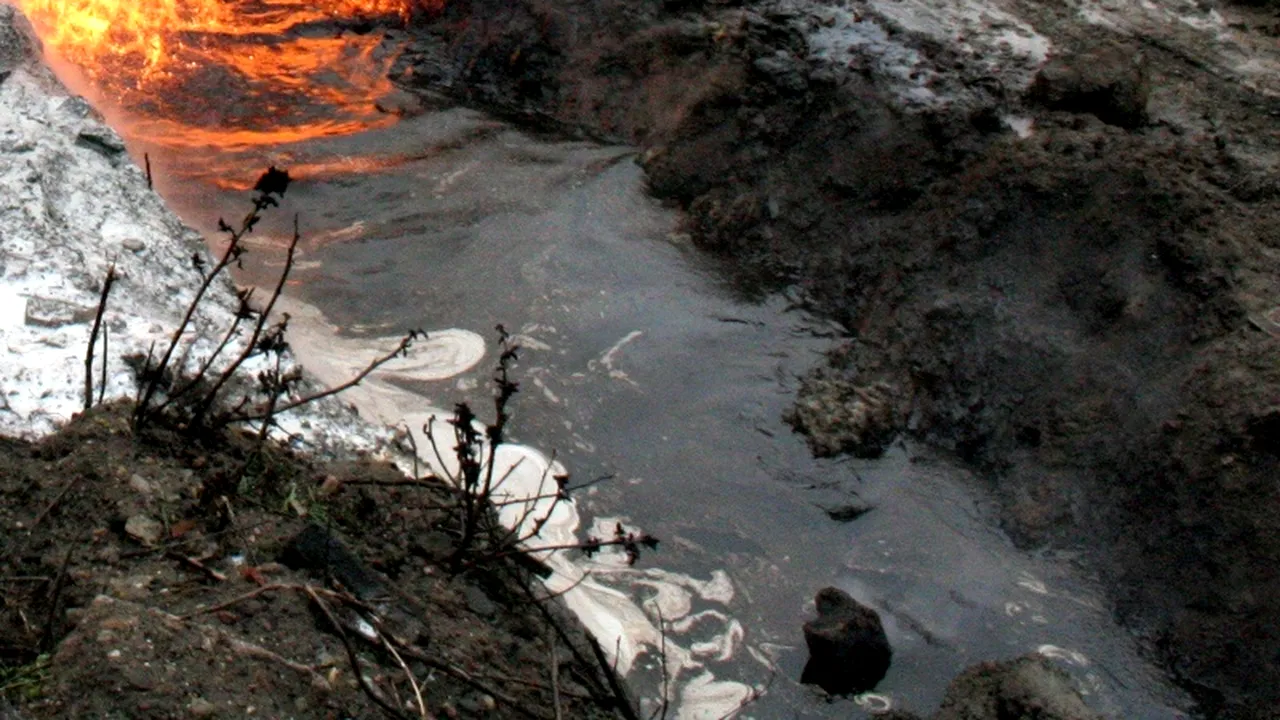 Trei tone de păcurină s-au scurs în canalizarea din Câmpulung Muscel și în râul Târgului